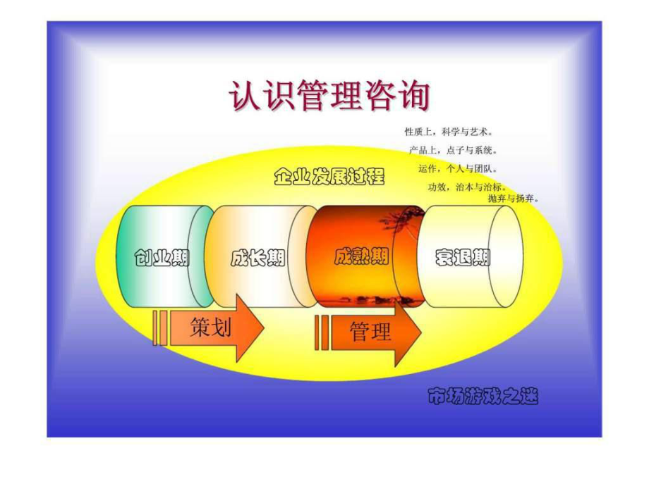 管理咨詢業(yè)分析 行業(yè)概述、趨勢與挑戰(zhàn)